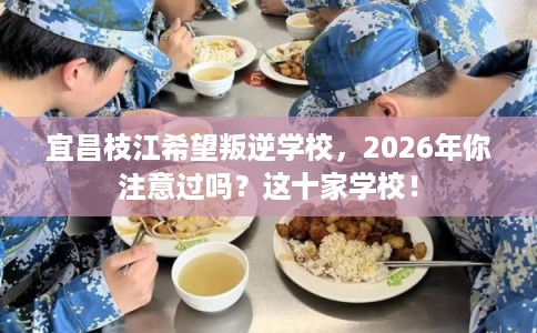 宜昌枝江希望叛逆学校,2026年你注意过吗?这十家学校! 宜昌枝江希望叛逆学校,2026年你注意过吗?这十家学校!