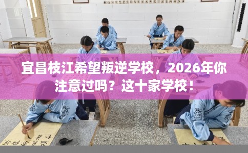 宜昌枝江希望叛逆学校，2026年你注意过吗？这十家学校！
