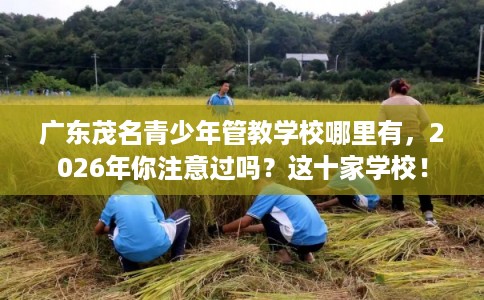 广东茂名青少年管教学校哪里有，2026年你注意过吗？这十家学校！