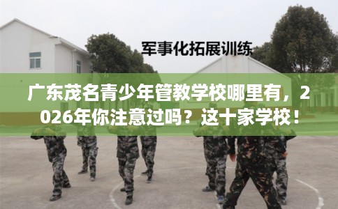 广东茂名青少年管教学校哪里有，2026年你注意过吗？这十家学校！