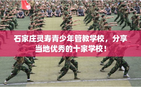 石家庄灵寿青少年管教学校，分享当地优秀的十家学校！