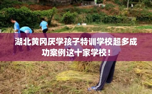 湖北黄冈厌学孩子特训学校超多成功案例这十家学校！