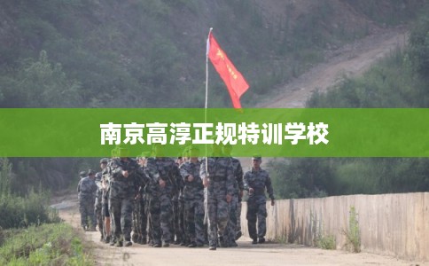 南京高淳正规特训学校