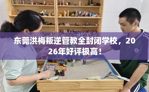 东莞洪梅叛逆管教全封闭学校，2026年好评极高！