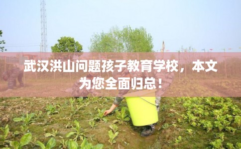 武汉洪山问题孩子教育学校，本文为您全面归总！