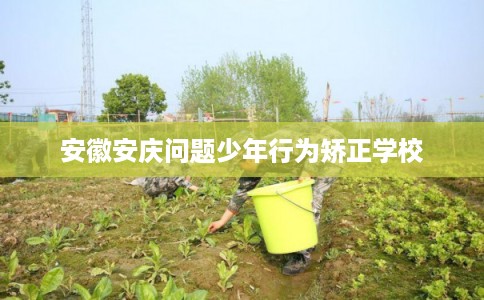 安徽安庆问题少年行为矫正学校