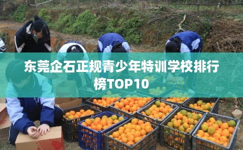 东莞企石正规青少年特训学校排行榜TOP10