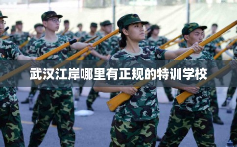 武汉江岸哪里有正规的特训学校