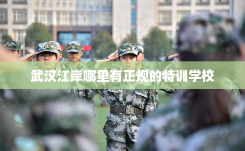 武汉江岸哪里有正规的特训学校