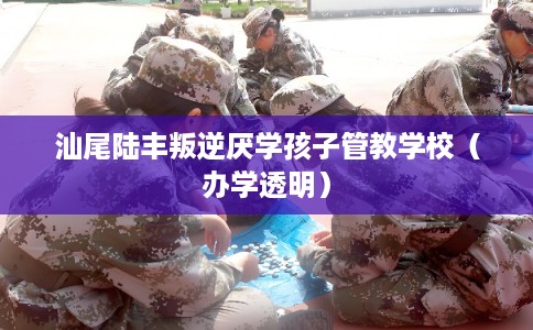 汕尾陆丰叛逆厌学孩子管教学校（办学透明）