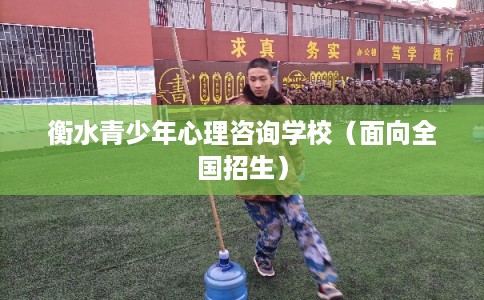 衡水青少年心理咨询学校（面向全国招生）