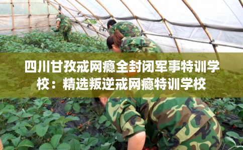 四川甘孜戒网瘾全封闭军事特训学校:精选叛逆戒网瘾特训学校 四川甘孜戒网瘾全封闭军事特训学校:精选叛逆戒网瘾特训学校