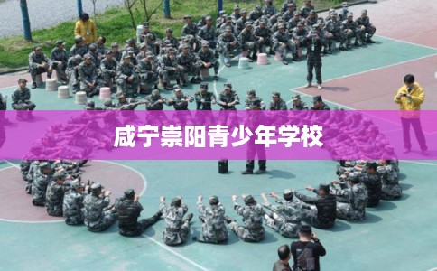 咸宁崇阳青少年学校