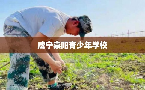 咸宁崇阳青少年学校