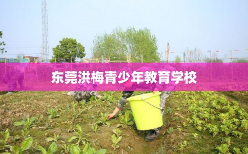 东莞洪梅青少年教育学校