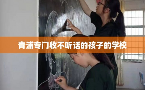 青浦专门收不听话的孩子的学校