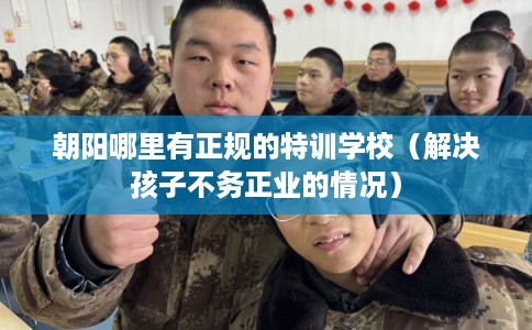 朝阳哪里有正规的特训学校（解决孩子不务正业的情况）