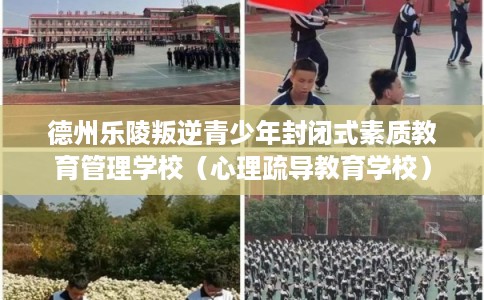 德州乐陵叛逆青少年封闭式素质教育管理学校（心理疏导教育学校）
