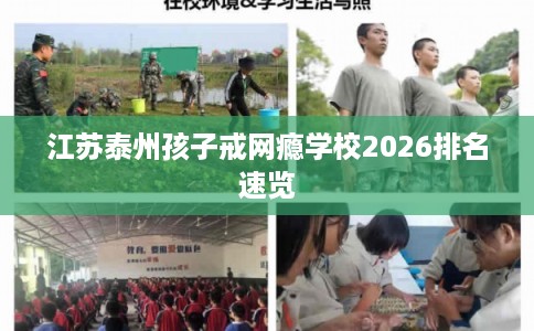 江苏泰州孩子戒网瘾学校2026排名速览