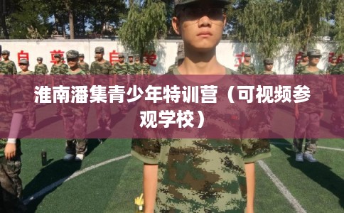 淮南潘集青少年特训营（可视频参观学校）