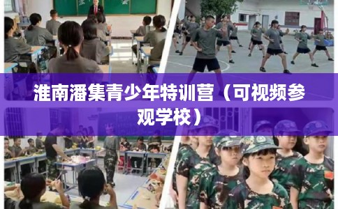 淮南潘集青少年特训营（可视频参观学校）