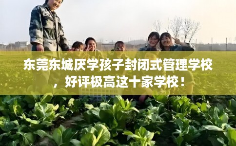 东莞东城厌学孩子封闭式管理学校，好评极高这十家学校！