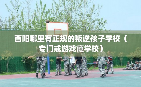 酉阳哪里有正规的叛逆孩子学校（专门戒游戏瘾学校）