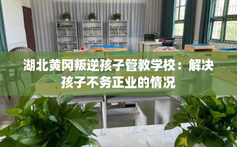 湖北黄冈叛逆孩子管教学校：解决孩子不务正业的情况