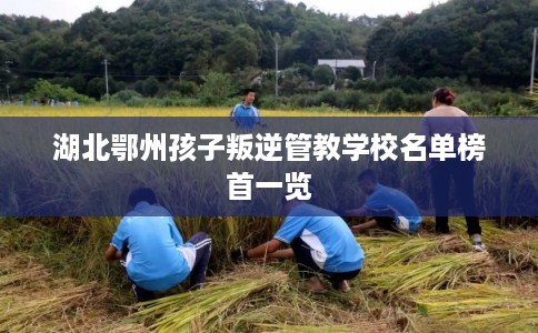 湖北鄂州孩子叛逆管教学校名单榜首一览