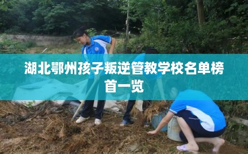 湖北鄂州孩子叛逆管教学校名单榜首一览