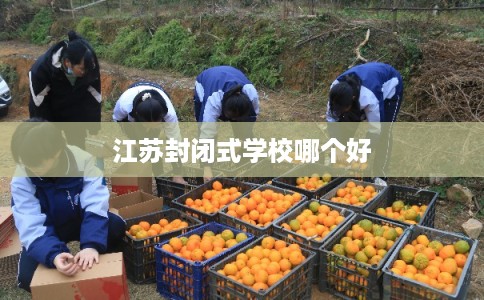 江苏封闭式学校哪个好