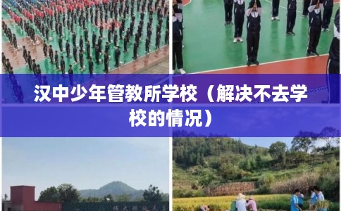汉中少年管教所学校（解决不去学校的情况）