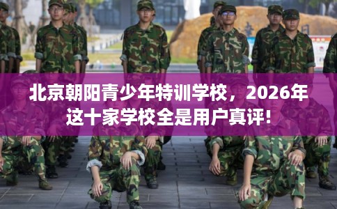 北京朝阳青少年特训学校，2026年这十家学校全是用户真评!