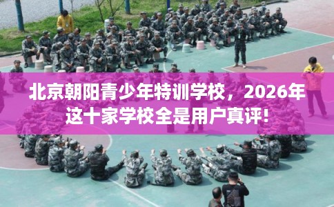 北京朝阳青少年特训学校，2026年这十家学校全是用户真评!