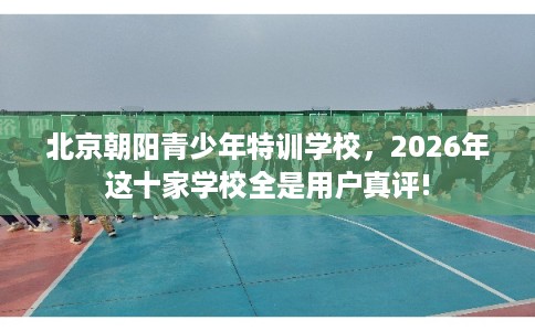北京朝阳青少年特训学校，2026年这十家学校全是用户真评!