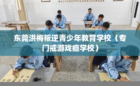东莞洪梅叛逆青少年教育学校（专门戒游戏瘾学校）