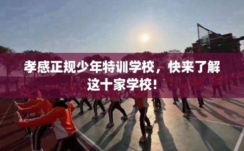 孝感正规少年特训学校，快来了解这十家学校!