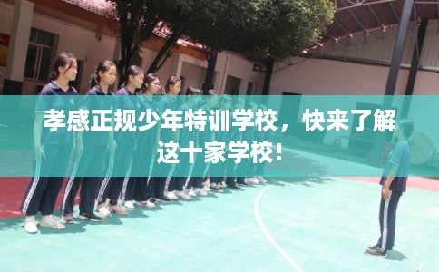 孝感正规少年特训学校，快来了解这十家学校!
