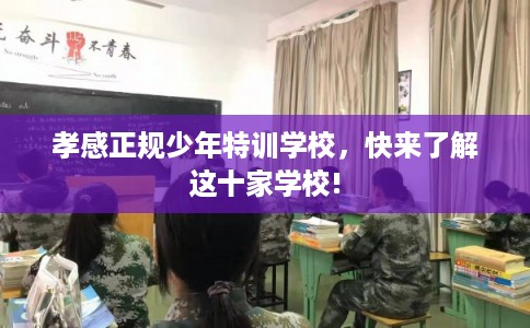 孝感正规少年特训学校，快来了解这十家学校!