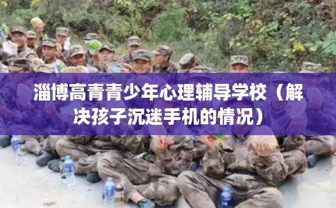 淄博高青青少年心理辅导学校（解决孩子沉迷手机的情况）