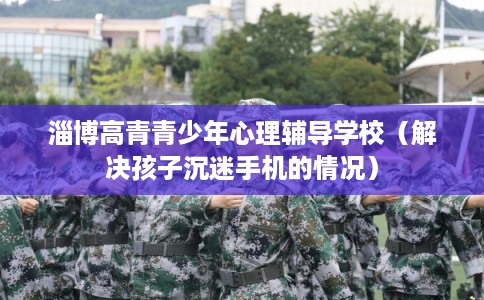 淄博高青青少年心理辅导学校（解决孩子沉迷手机的情况）