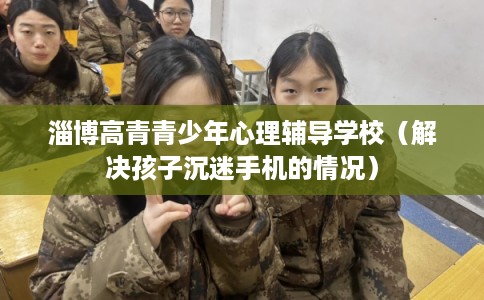 淄博高青青少年心理辅导学校（解决孩子沉迷手机的情况）