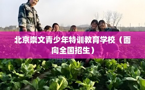 北京崇文青少年特训教育学校（面向全国招生）