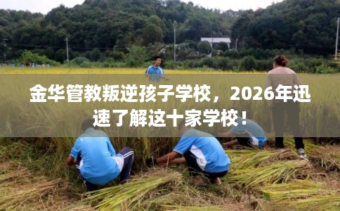 金华管教叛逆孩子学校，2026年迅速了解这十家学校！