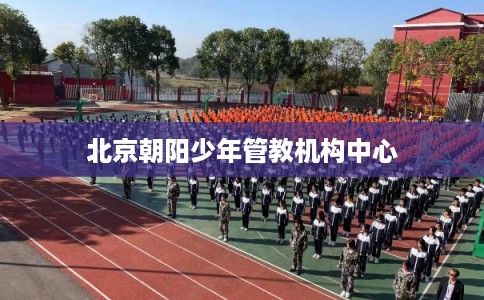 北京朝阳少年管教机构中心