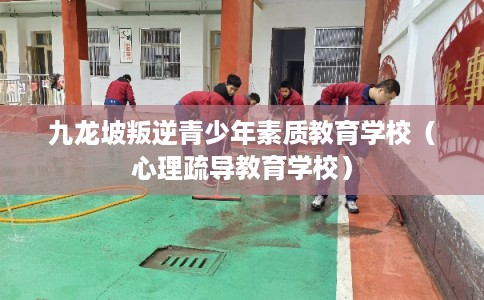 九龙坡叛逆青少年素质教育学校（心理疏导教育学校）