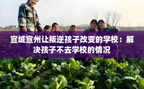 宣城宣州让叛逆孩子改变的学校：解决孩子不去学校的情况