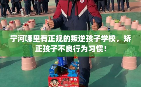 宁河哪里有正规的叛逆孩子学校，矫正孩子不良行为习惯！