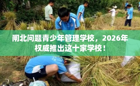 闸北问题青少年管理学校，2026年权威推出这十家学校！