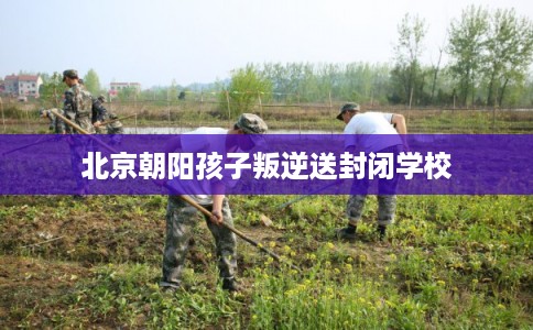 北京朝阳孩子叛逆送封闭学校